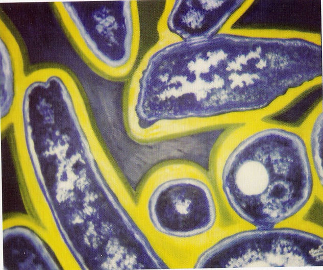 Legionella Acrylic Canvas Others