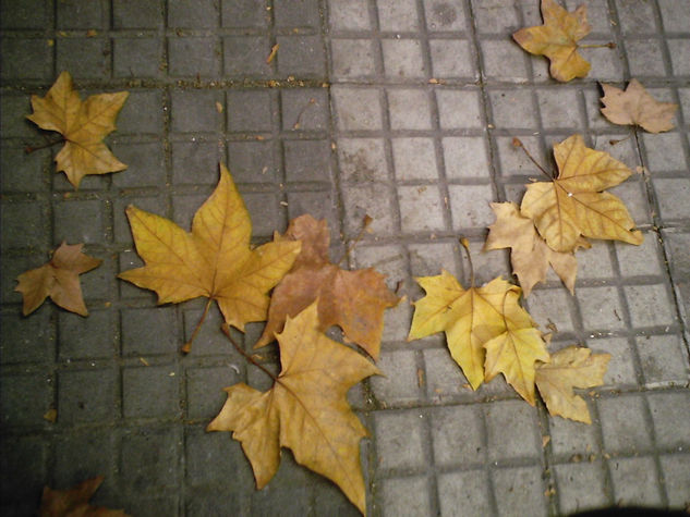 HOJAS DE OTOÑO 