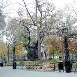New York thumbnail 2