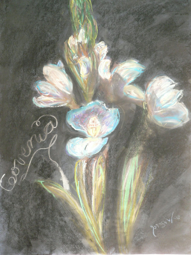 ORQUIDEA  GOVENIA AZUL