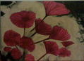 flores marinas