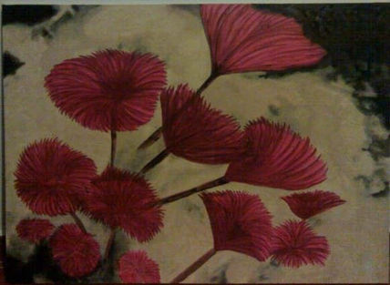 Flores marinas