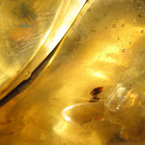 gold wave I