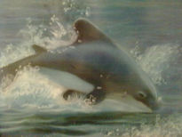 Delfin