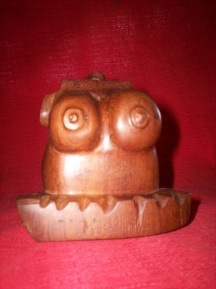 Torso
