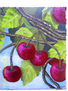 CEREZOS