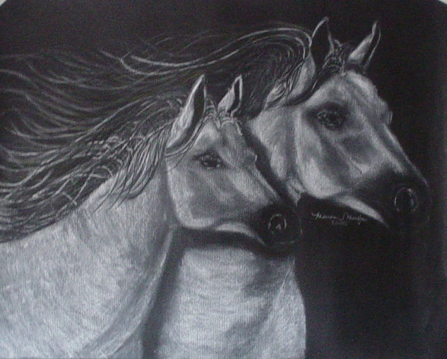 Caballos Blancos Carboncillo