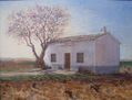 la casilla de pedro