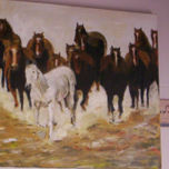 caballos thumbnail 2