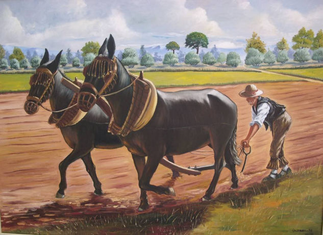 ARANDO CON MULAS Óleo Lienzo Paisaje