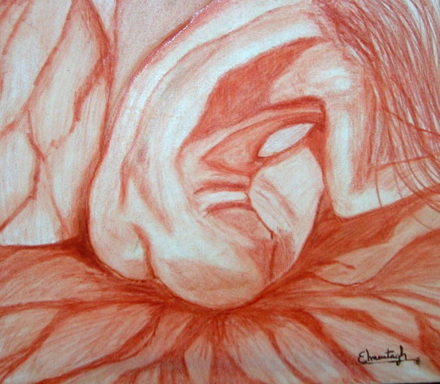 soledad