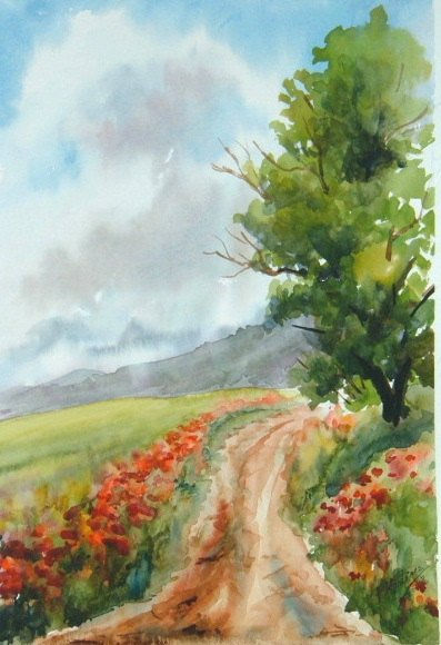 Campo de amapolas