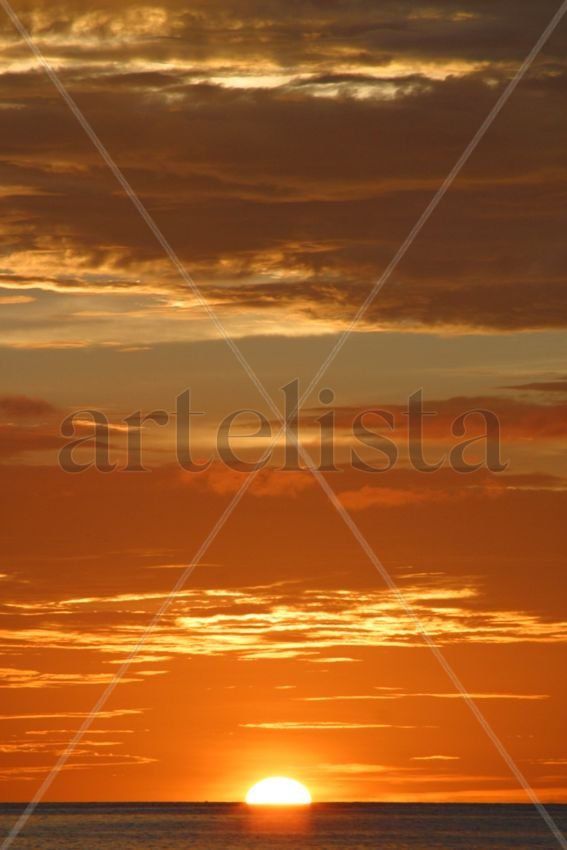 Puro Cielo