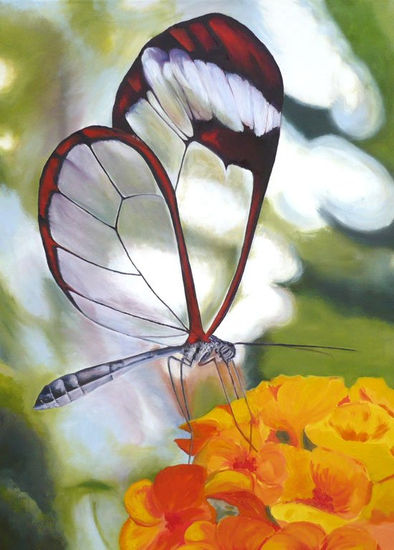 Mariposa Transparente Oil Canvas Animals