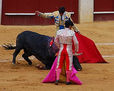 Maestros de toreo