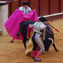Maestros del toreo