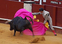 Maestros del Toreo