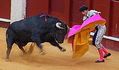 Maestros del toreo