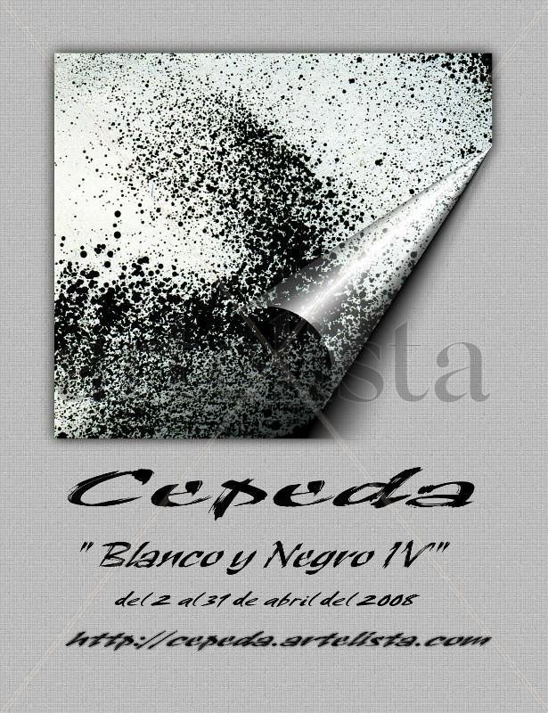 BLANCO Y NEGRO IV ,2008