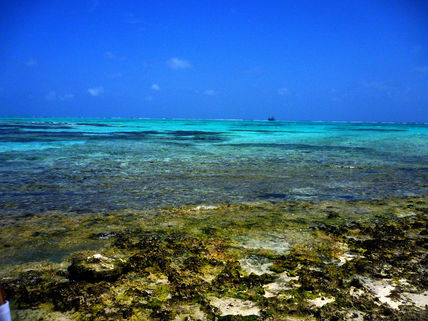 Agua cristal