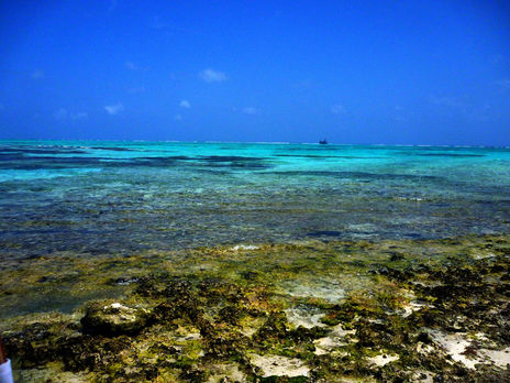 Agua cristal