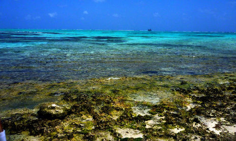 PLAYA Y MAR