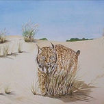 Animales thumbnail 1
