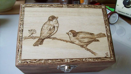 Pájaros