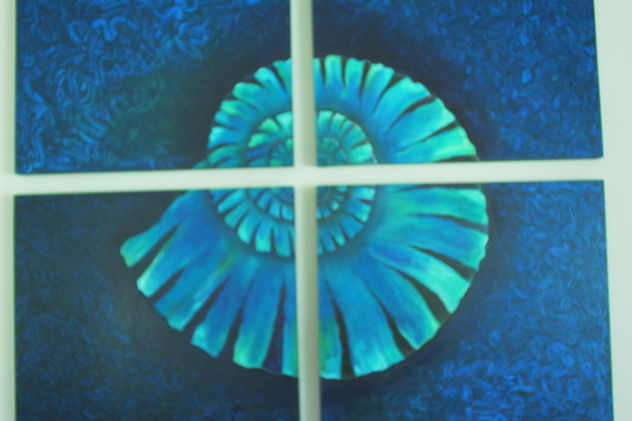 nautilus