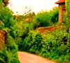 CABAÑA ESCONDIDA