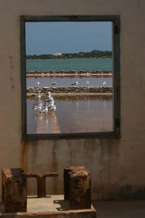 FORMENTERA A TRAVES DE LA VENTANA