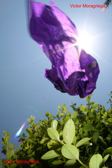 Eclipse V