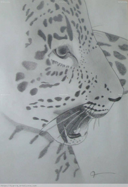 Jaguarete
