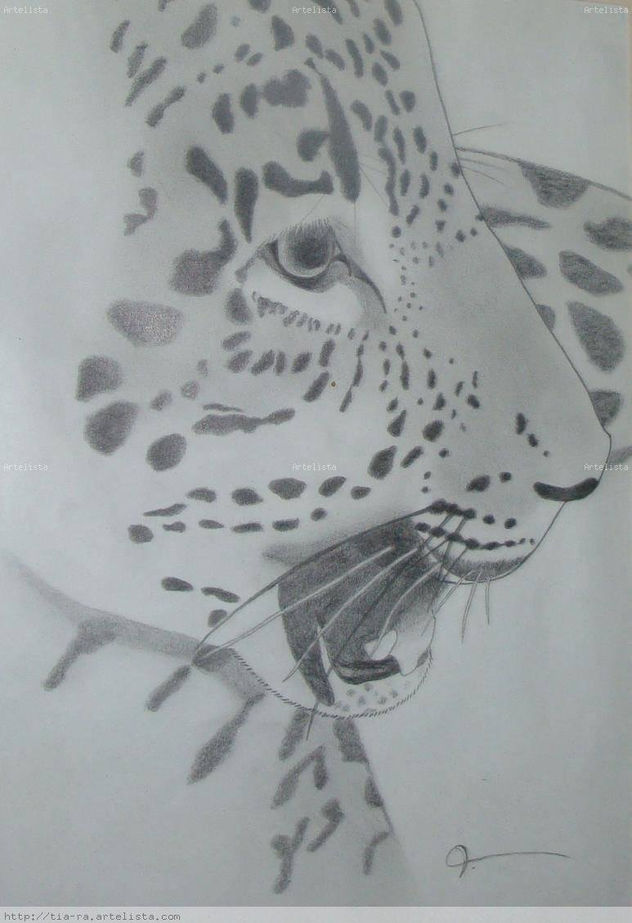 Jaguarete