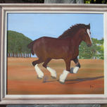 caballos de polo,galope,nochero,arabe thumbnail 1