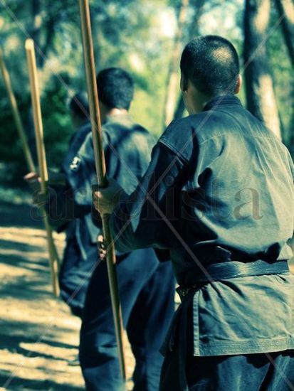 Bujinkan Dojo 