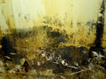 naturaleza abstracta
