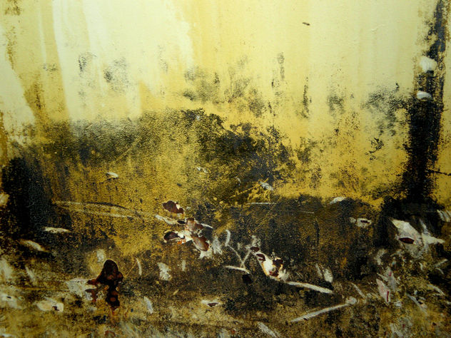 naturaleza abstracta