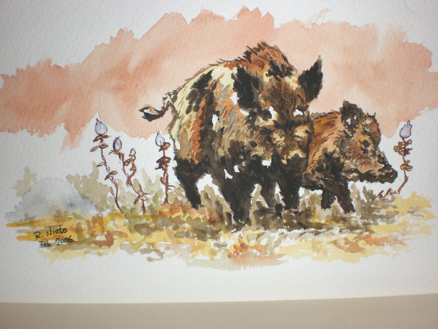 El viejo solitario Watercolour Paper Animals