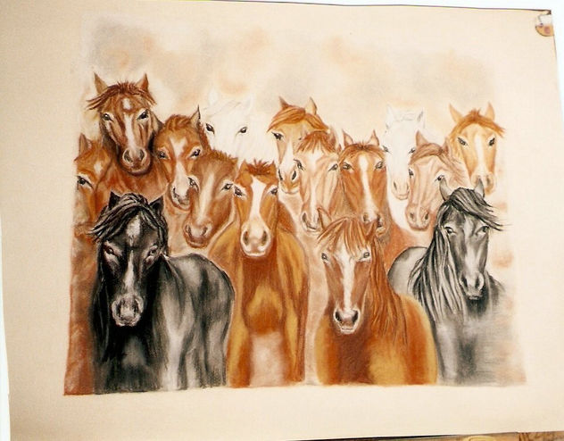 caballos