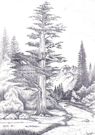 paisaje Charcoal