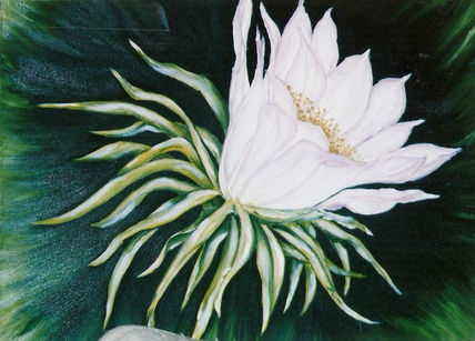 Flor cactus