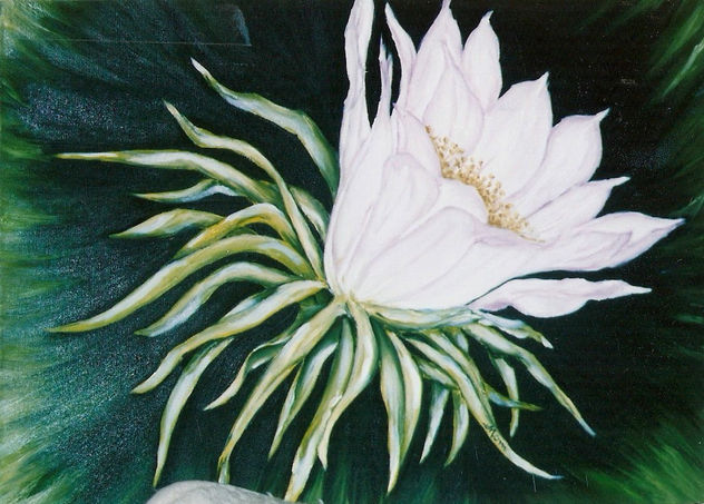 flor cactus