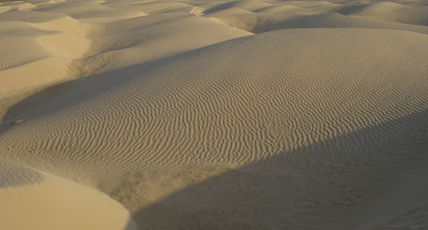 Dunas