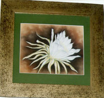 Flor de cactus