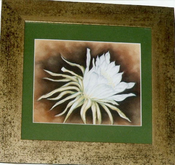 flor de cactus 