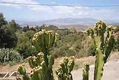 La Montanera