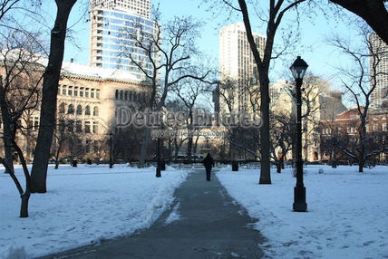 Paseo invernal