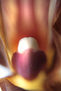 flor