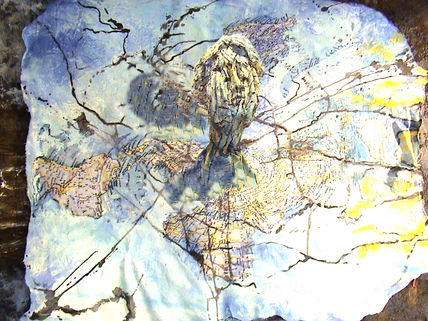 Cartografia del...